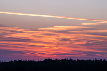 Fototapeta premium A dramatic sunset paints the sky in vivid streaks of orange, pink, and purple above a silhouetted forest.