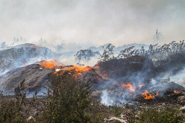 The photo shows a burning garbage dump, with thick, pungent smoke rising into the air