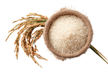 White rice in a burlap sack, with rice stalks