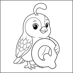Letter Q with Quail Educational sketch Coloring Page for Kids