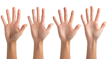 Four hands raised in the air, palms facing forward, showing five fingers each.  A clear view of the hand's surface texture,  with lines and creases evident