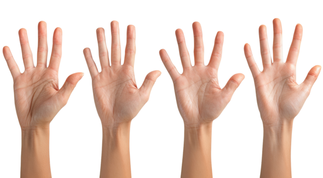 Four hands raised in the air, palms facing forward, showing five fingers each.  A clear view of the hand's surface texture,  with lines and creases evident