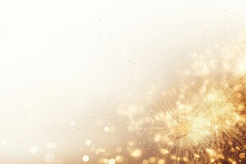 Fototapeta premium Fireworks fireworks backgrounds outdoors.