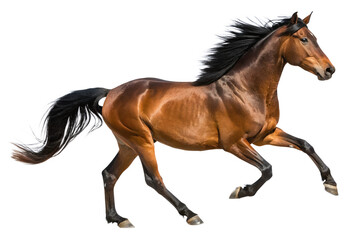 Dynamic brown horse in full gallop, powerfully showcasing athletic precision and fluid motion. Its flowing mane and tail emphasize untamed elegance, embodying pure equine strength