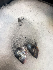 Fresh fish dorada displayed on a bed of crushed ice, showcasing glistening scales and vibrant colors, emphasizing freshness and quality in a seafood market setting