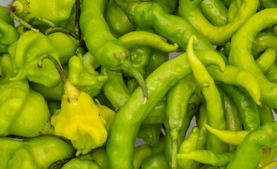 Mix of green peppers Shishito pepper Capsicum Annuum japonsea, or Japanese sweet pepper, not spicy and very tasty and Cambuci pepper Capsicum baccatum, green bell-shaped pepper