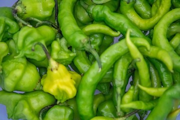 Mix of green peppers Shishito pepper Capsicum Annuum japonsea, or Japanese sweet pepper, not spicy and very tasty and Cambuci pepper Capsicum baccatum, green bell-shaped pepper