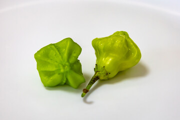 Cambuci pepper Capsicum baccatum, a bell-shaped green pepper with very little heat and very...
