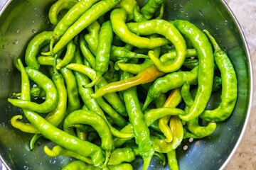 Shishito pepper Capsicum Annuum japonsea, or Japanese sweet pepper, not spicy and very tasty