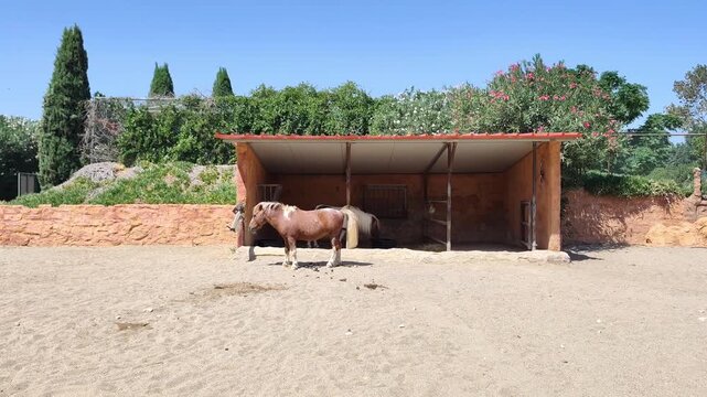 Nature calls! Catch this Pony caught in a candid moment during a day out at the Attica Zoological Park in Athens, Greece. Just a reminder that even the prettiest ponies have to take a pit stop.