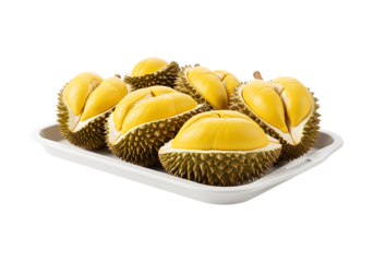 Freshly cut durian fruit segments on a white tray isolated on transparent background