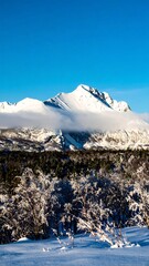 Snowy mountain vista