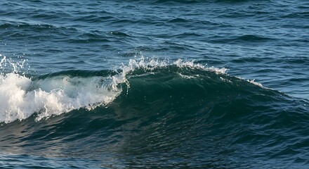 Ocean wave cresting in the deep blue sea.