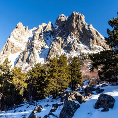 Snowy mountains, vibrant greenery, clear blue sky
