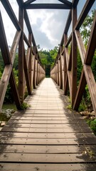 Fototapeta premium Wooden bridge through forest