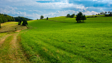 landscape with green field and blue sky