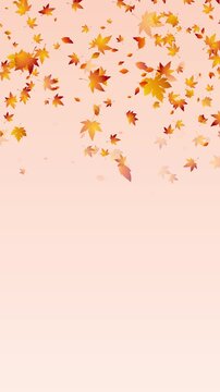 colorful autumn colorful leaves falling animation, leaf fall thanksgiving and Halloween vertical social media motion background	
