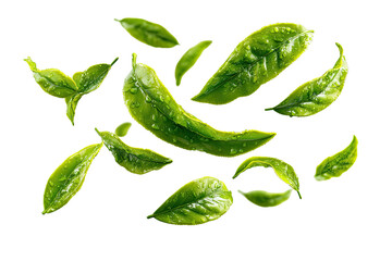 Fresh, vibrant green leaves, seemingly floating, on a black background.  Each leaf is detailed, showing texture and slightly glossy surface.  Bright, bold color contrast