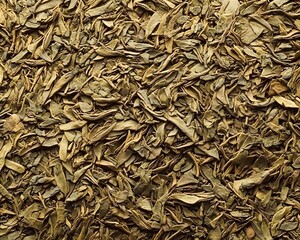Dried Green Tea Leaves Close Up Texture Background