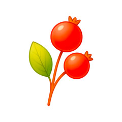 Two red berries on a stem with light green leaves