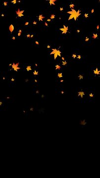 colorful autumn leaves falling isolated alpha channel 4k animation, leaf fall on transparent background, thanksgiving and Halloween vertical social media motion design element	