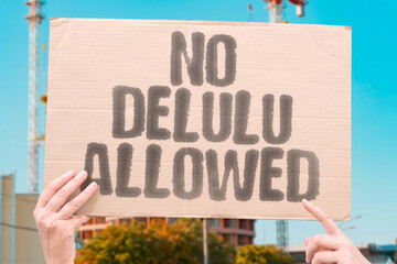 “No Delulu Allowed” on a protest banner reflects Gen Z slang against delusion in digital...
