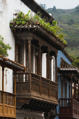 vegetation growing on a Canarian balcony