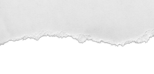 Torn white paper  with shadow isolated on background
