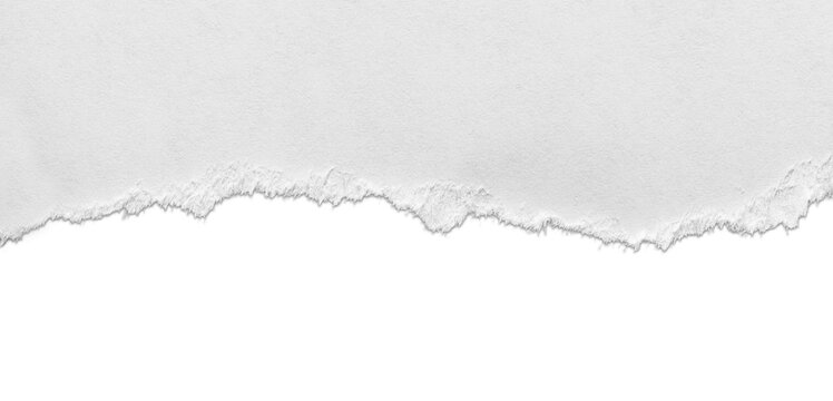 Torn white paper  with shadow isolated on background