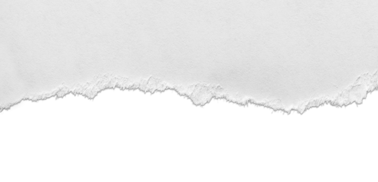 Torn white paper  with shadow isolated on background - Powered by Adobe