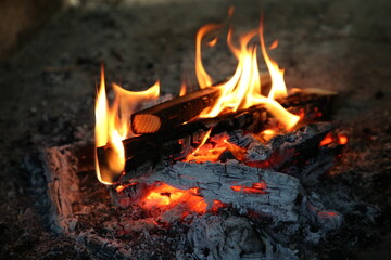 焚き火 © TeTsumi