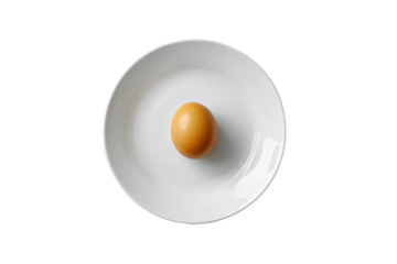 A single brown egg centered on a white plate