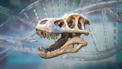 The T rex Skull for Education or sci concept 3d Rendering. © niphon