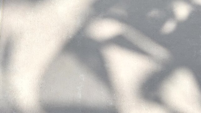 Exotic leaf shadow, light on grey wall background. Nature tropical leaves plant tree branch swinging shade, sunshine. Sunlight on stone wall texture, backdrop, wallpaper, shadows overlay. 