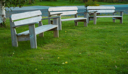 Three benches in a park on a green gras 