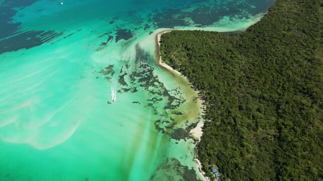 Isla Saona aerial 4K &mdash; untouched beach with lush greenery and turquoise sea