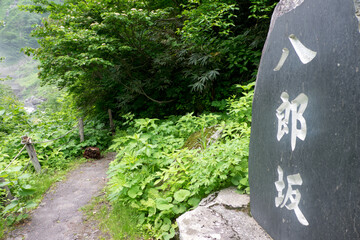 八郎坂登山道入口道標の夏風景