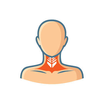 Human body anatomy illustration showcasing sternohyoid muscles in the neck region with stylized design and visual representation