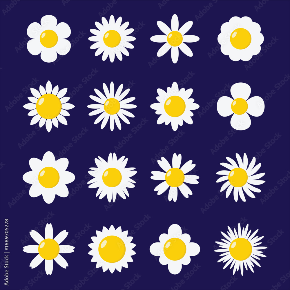 Poster chamomile icon set vector design.