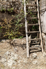 Rustic Wooden Ladder Leaning Against Weathered Wall in Sunlit Courtyard