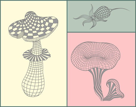 cankerberry and mushrooms in Line Art .mesh frame.
 Botanical, decorative, and modern design element.
fly agaric mushroom and chanterelle