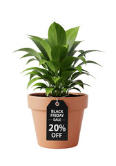 Fototapeta premium hHouseplant pot with a Black Friday discount tag tied to it