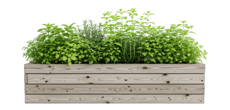 A wooden planter box filled with a variety of fresh green herbs and leafy plants on a white background
