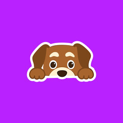Cute brown dog peeking from behind a white border on a vibrant purple background