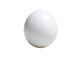 Single, whole, white egg, smooth surface, against a black background