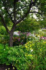 A crab apple tree with a gnarled trunk is surrounded by a vibrant garden of pink, yellow, and white flowers and various green plants
