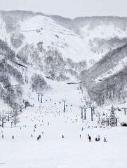 Wide view of a crowded ski run surrounded by snow-covered trees and mountains.