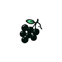 Hand-drawn illustration of a bunch of dark berries with a stem and leaf