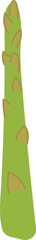 Asparagus Spear Vegetable