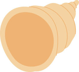 Spiral Seashell Illustration